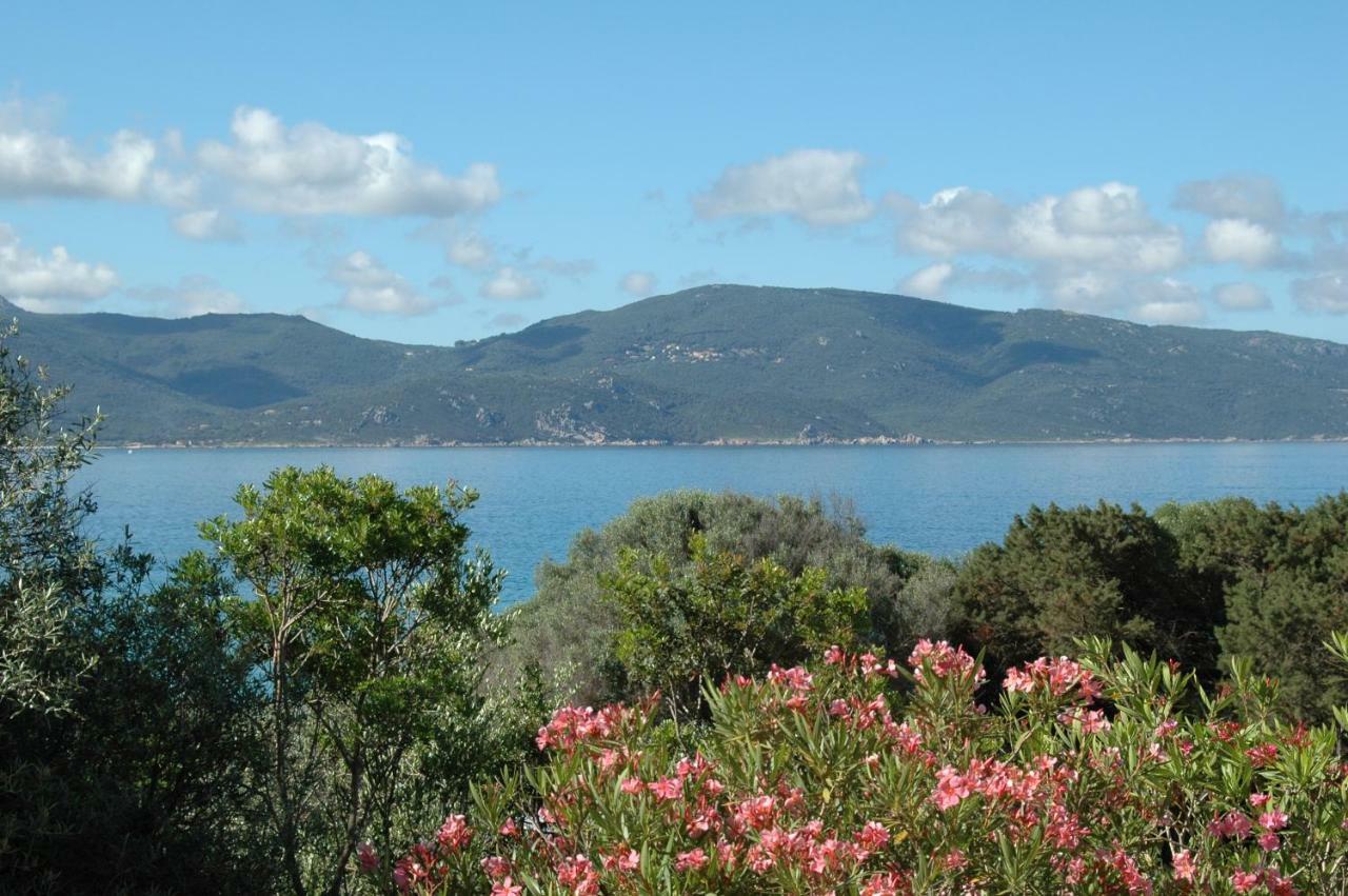 Residence Capicciolo Olmeto  Dış mekan fotoğraf